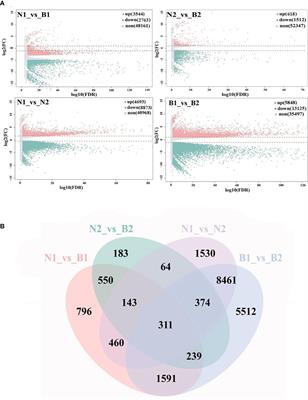 Transcriptomics–metabolomics joint analysis: New highlight into the triterpenoid saponin biosynthesis in quinoa (Chenopodium quinoa Willd.)